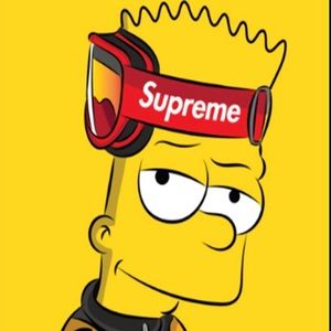 Meet your Posher, Benji